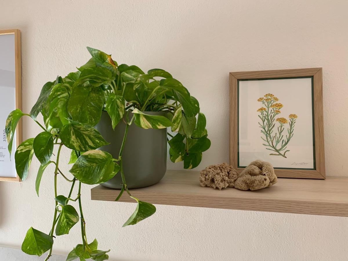 Elicriso Home Porto Torres Buitenkant foto
